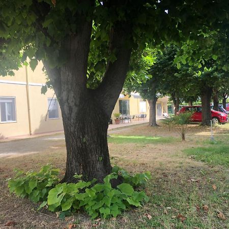 Hotel Argo Rimini Buitenkant foto